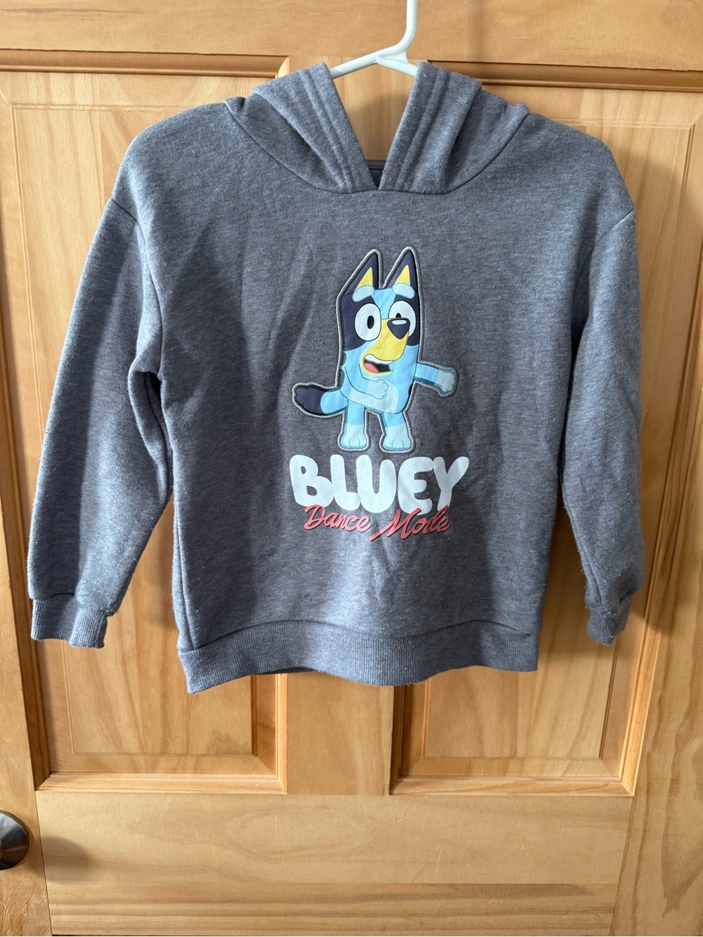 Like New, Kids Unisex Bluey Hoodie Size 4T